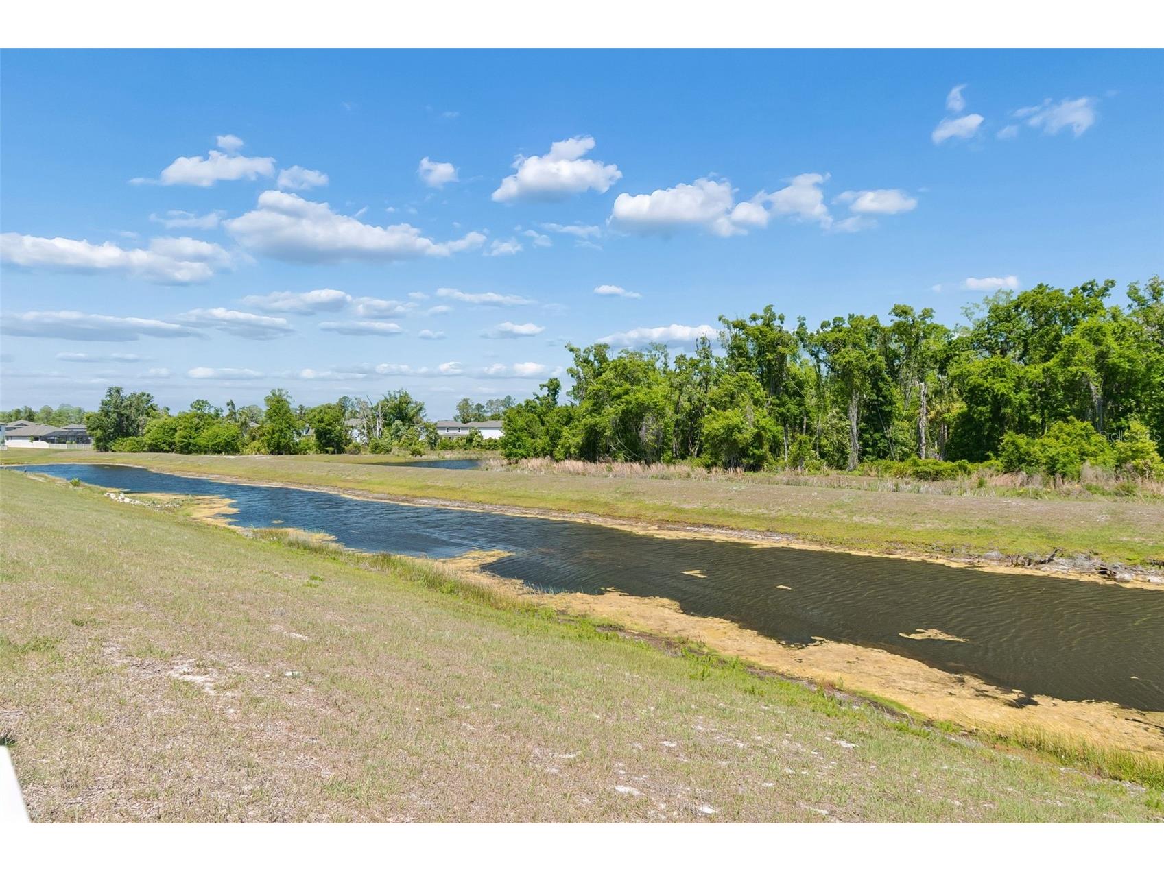17647 Cortes Creek Boulevard Spring Hill FL 34610 TB8501068 image76