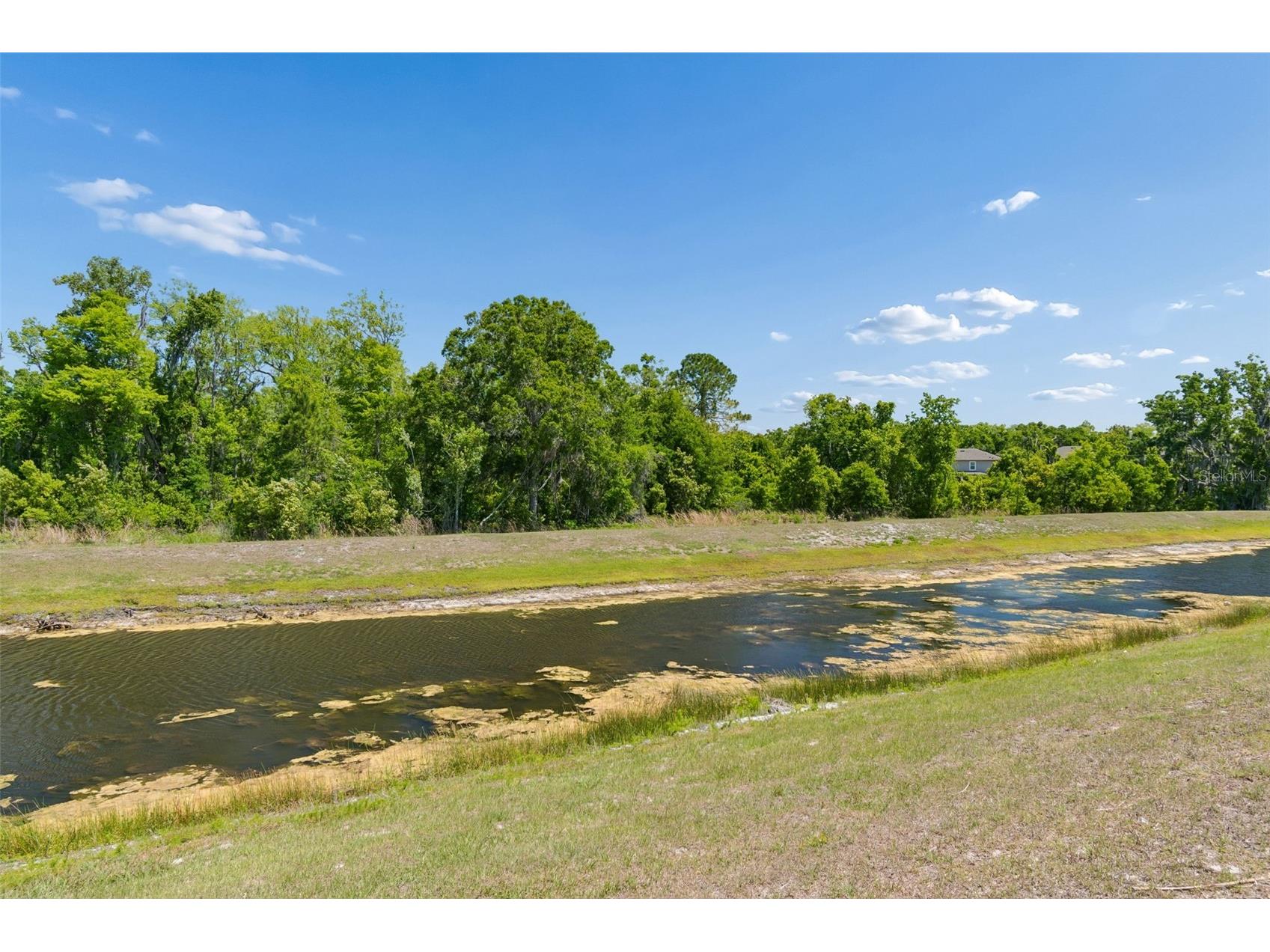 17647 Cortes Creek Boulevard Spring Hill FL 34610 TB8501068 image77