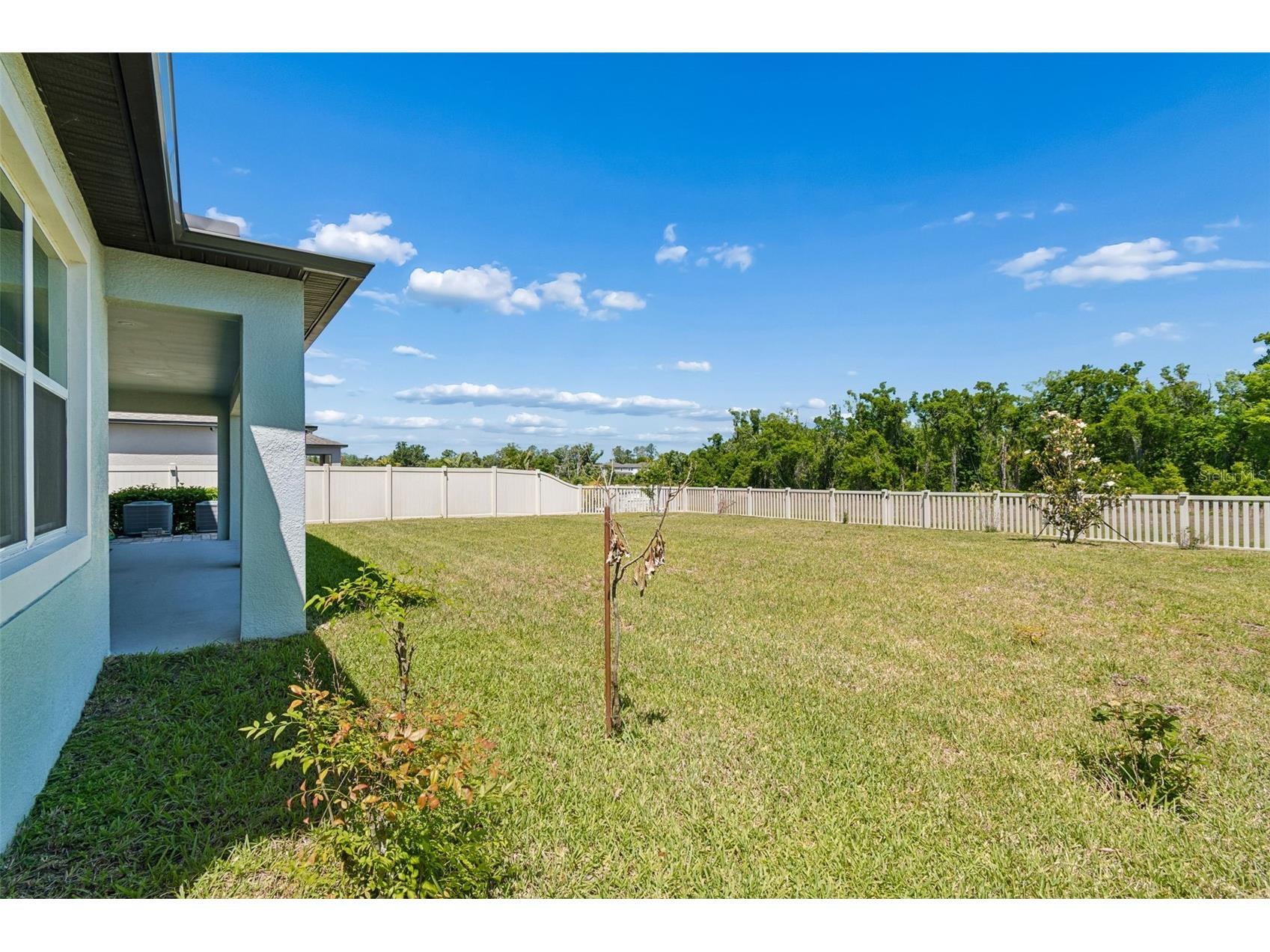17647 Cortes Creek Boulevard Spring Hill FL 34610 TB8501068 image78