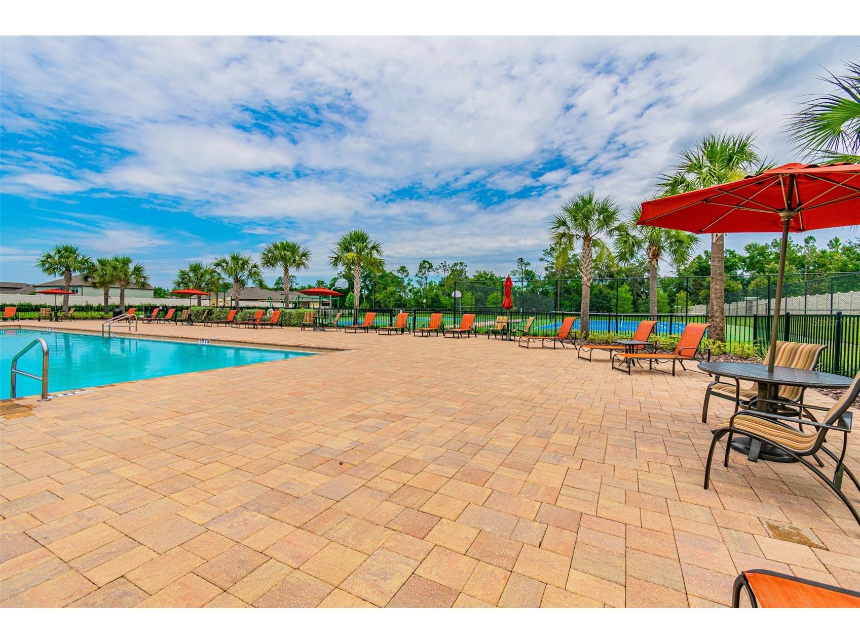 17647 Cortes Creek Boulevard Spring Hill FL 34610 TB8501068 image95