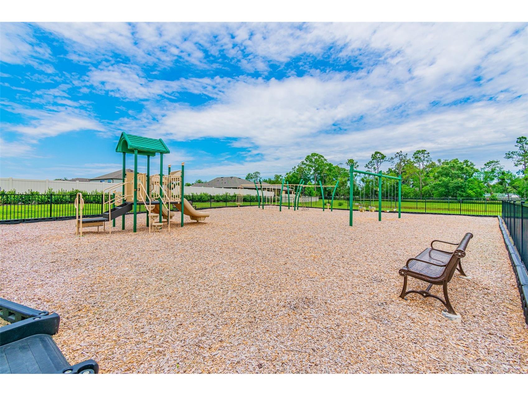 17647 Cortes Creek Boulevard Spring Hill FL 34610 TB8501068 image99