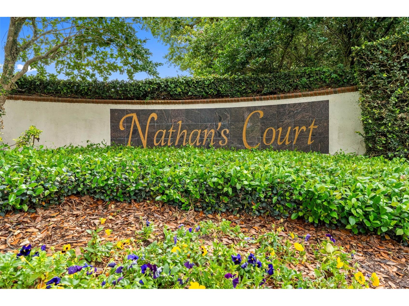 17648 Nathans Drive Tampa FL 33647 TB8495118 image2