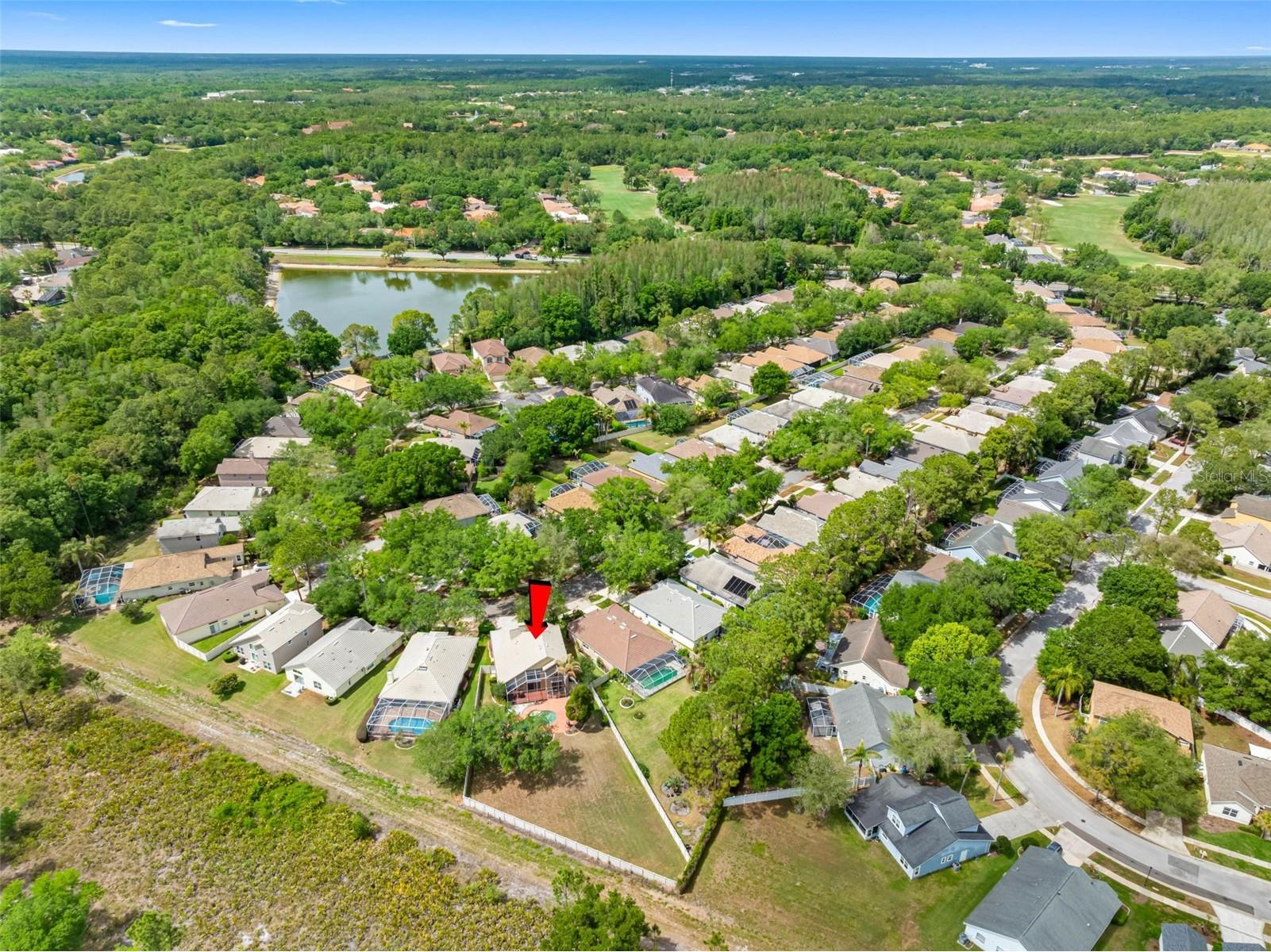 17648 Nathans Drive Tampa FL 33647 TB8495118 image35