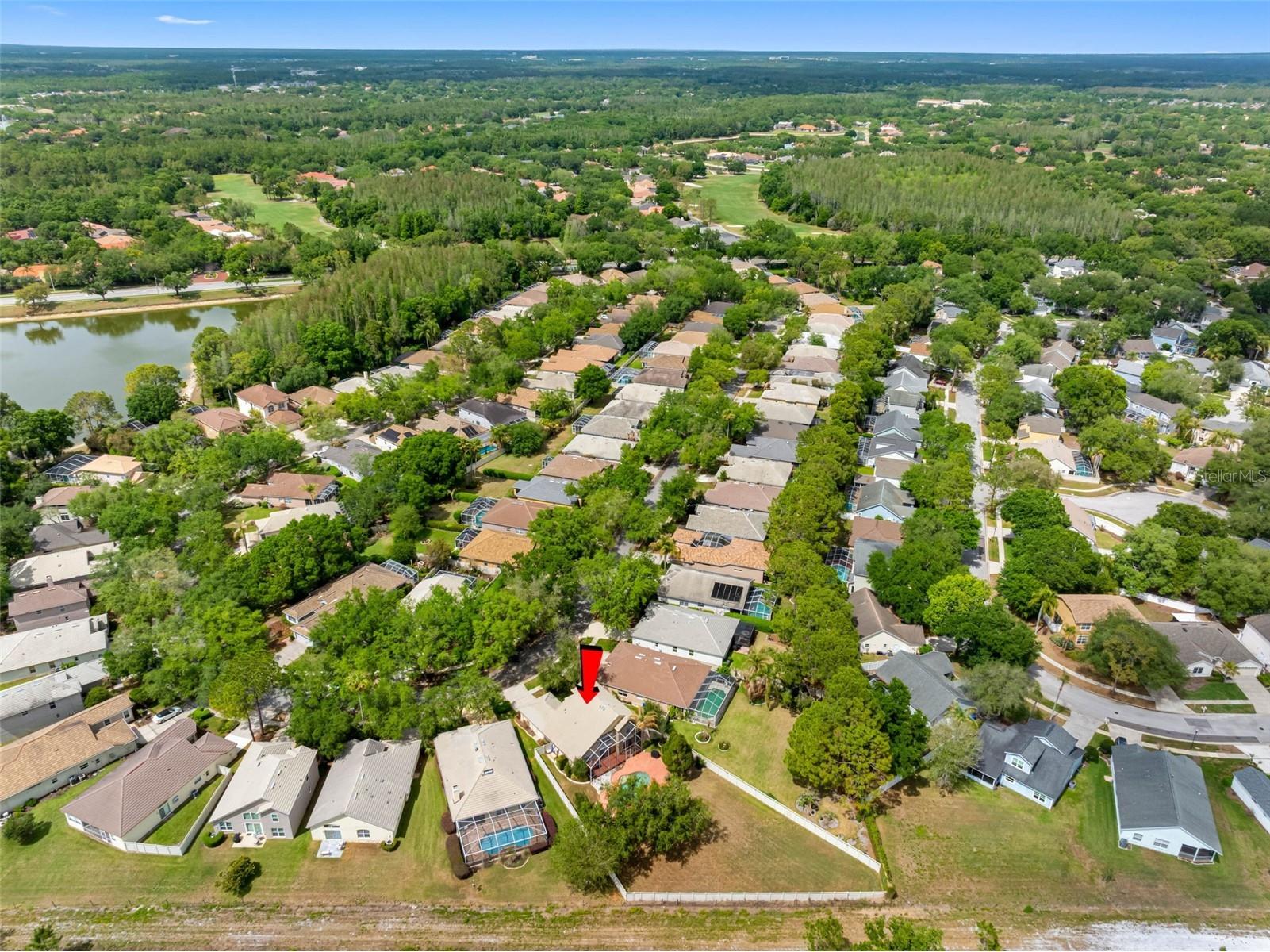 17648 Nathans Drive Tampa FL 33647 TB8495118 image36