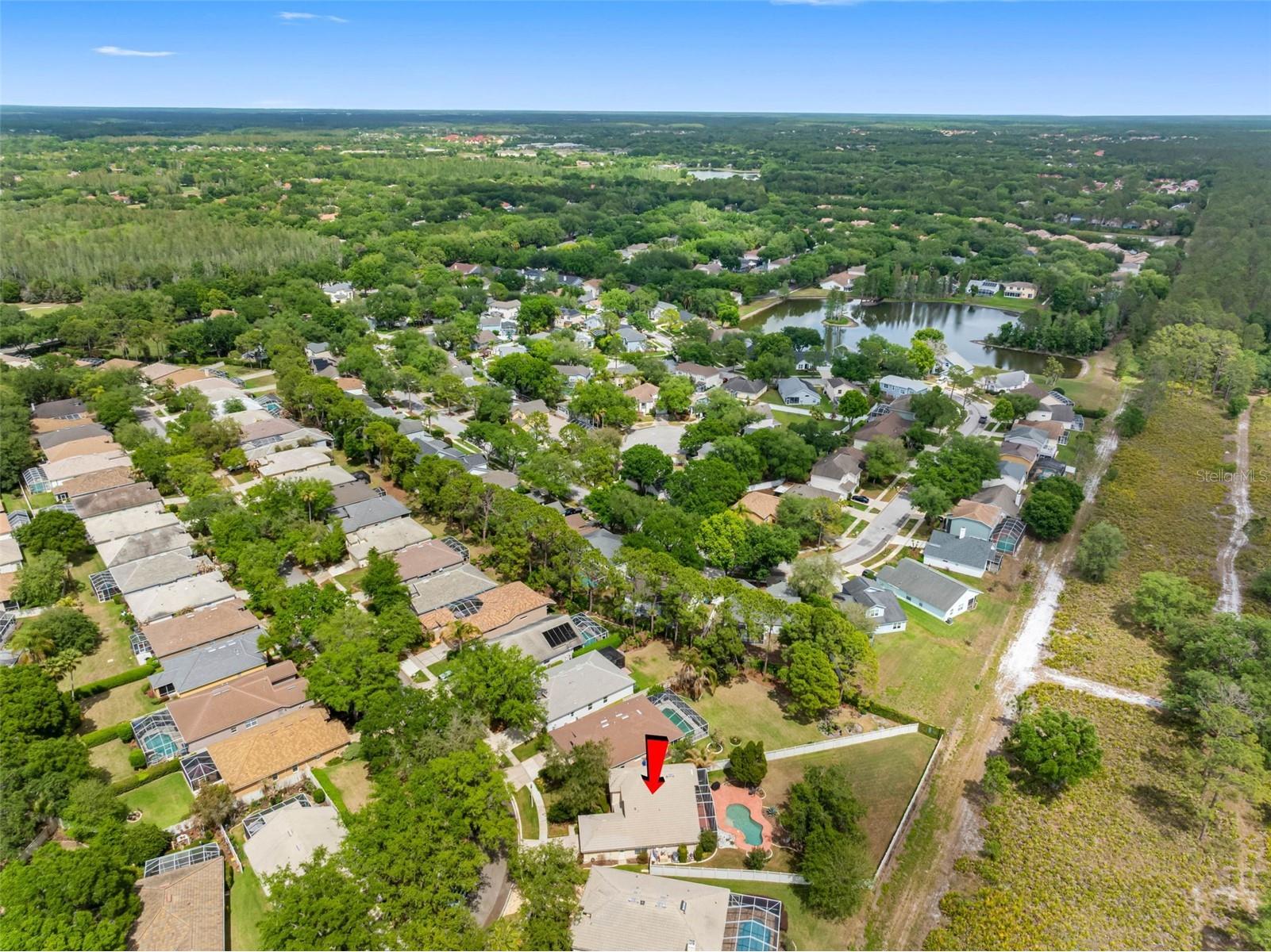 17648 Nathans Drive Tampa FL 33647 TB8495118 image37