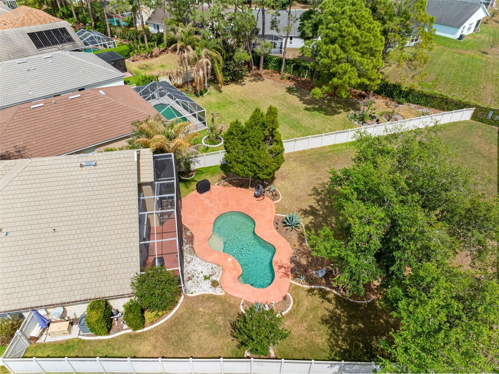 17648 Nathans Drive Tampa FL 33647 TB8495118 image38