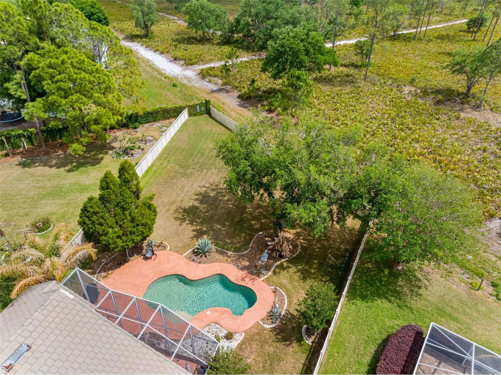 17648 Nathans Drive Tampa FL 33647 TB8495118 image39