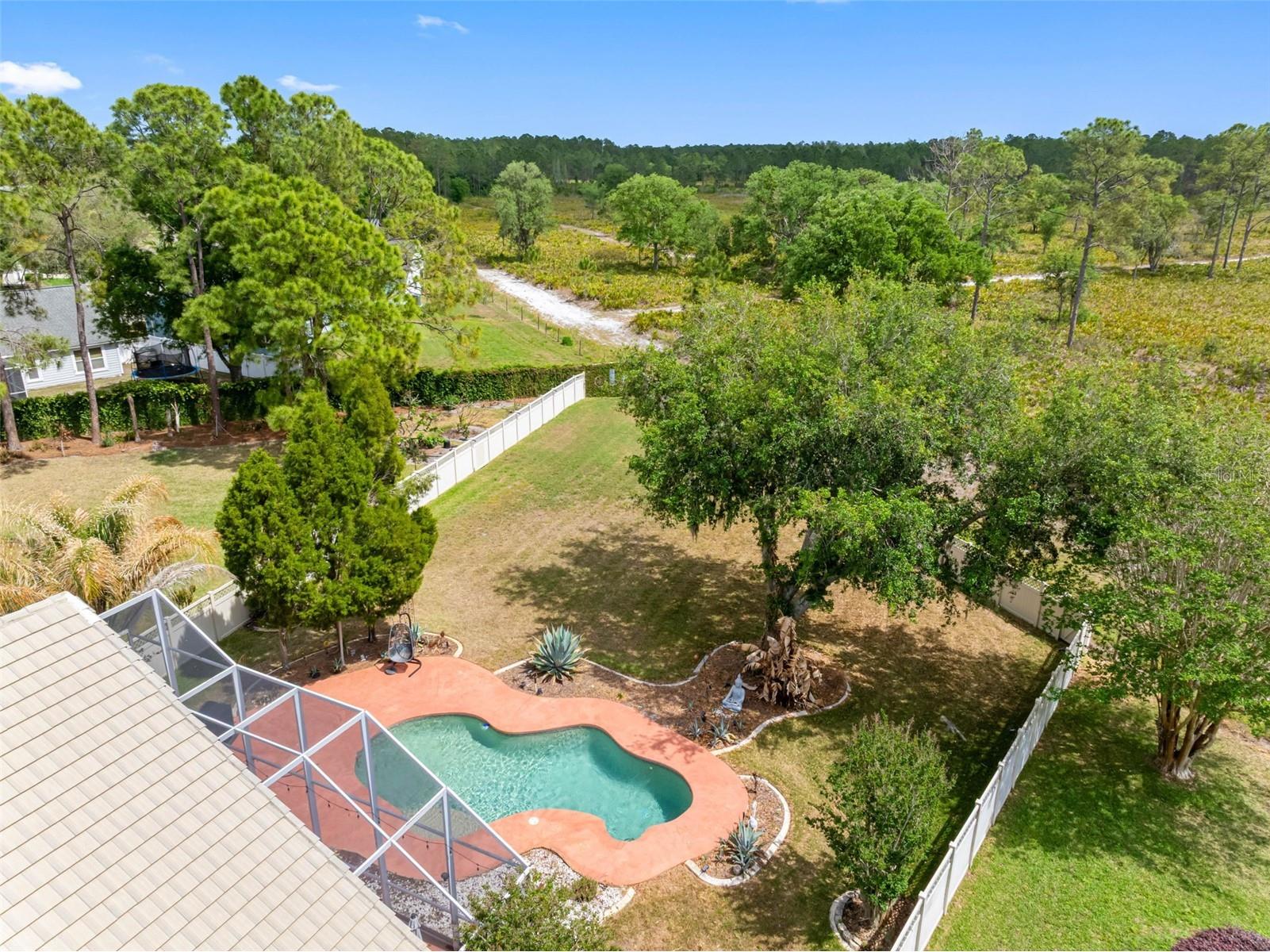17648 Nathans Drive Tampa FL 33647 TB8495118 image40