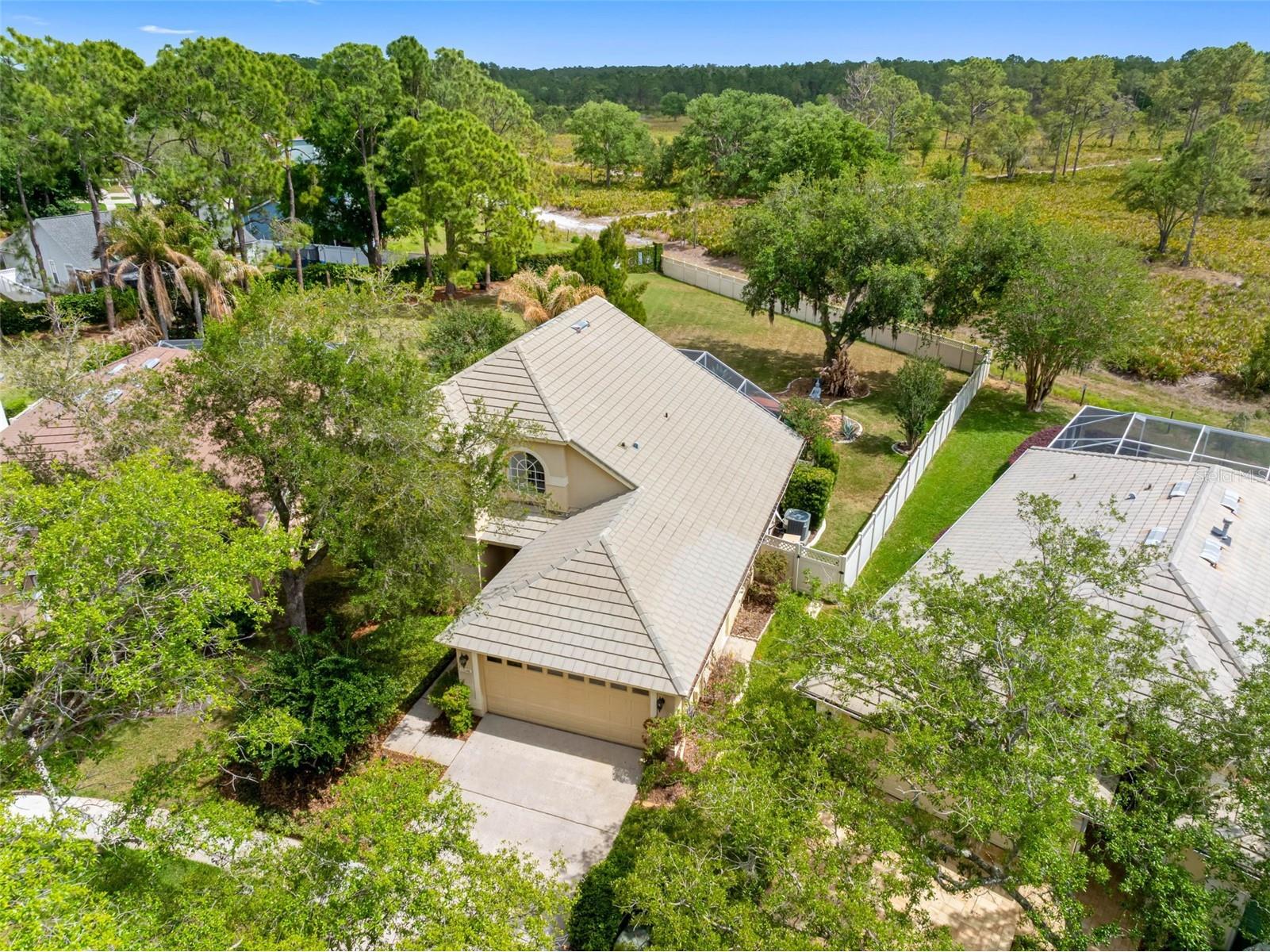 17648 Nathans Drive Tampa FL 33647 TB8495118 image41