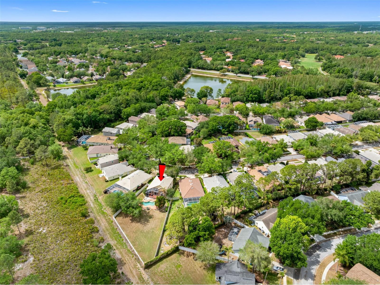 17648 Nathans Drive Tampa FL 33647 TB8495118 image47