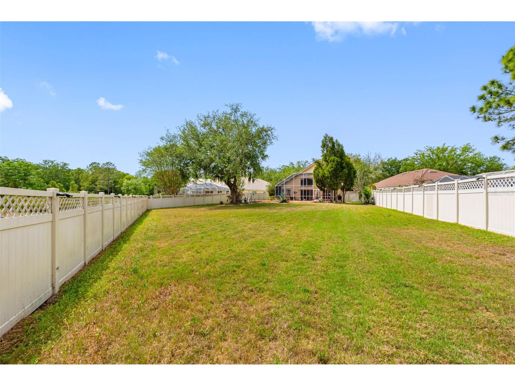 17648 Nathans Drive Tampa FL 33647 TB8495118 image52