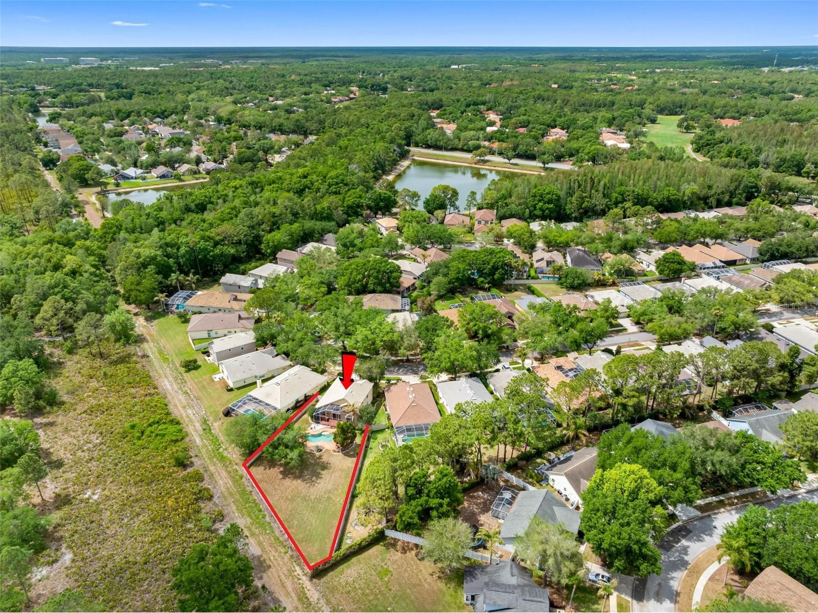 17648 Nathans Drive Tampa FL 33647 TB8495118 image56