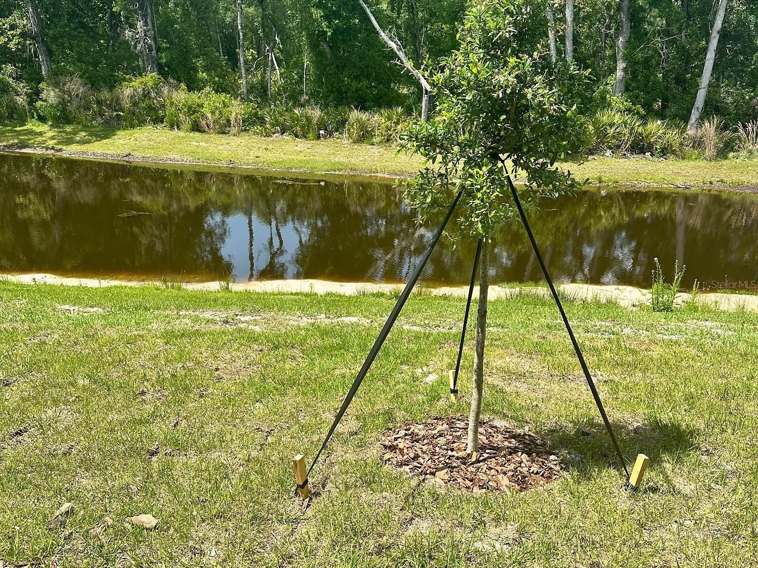 17649 Nectar Flume Drive Land O Lakes FL 34638 TB8522735 image14