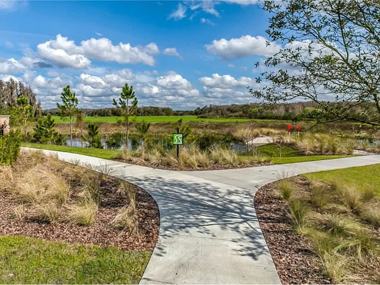 17649 Nectar Flume Drive Land O Lakes FL 34638 TB8522735 image15