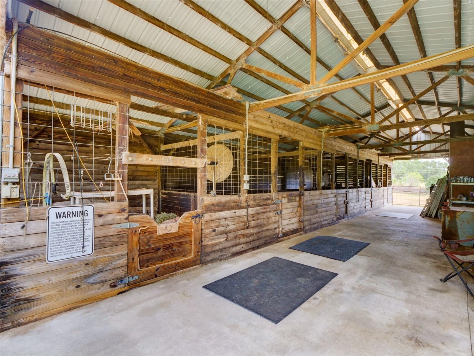1765 E Cr 462 Wildwood FL 34785 G5105156 image30