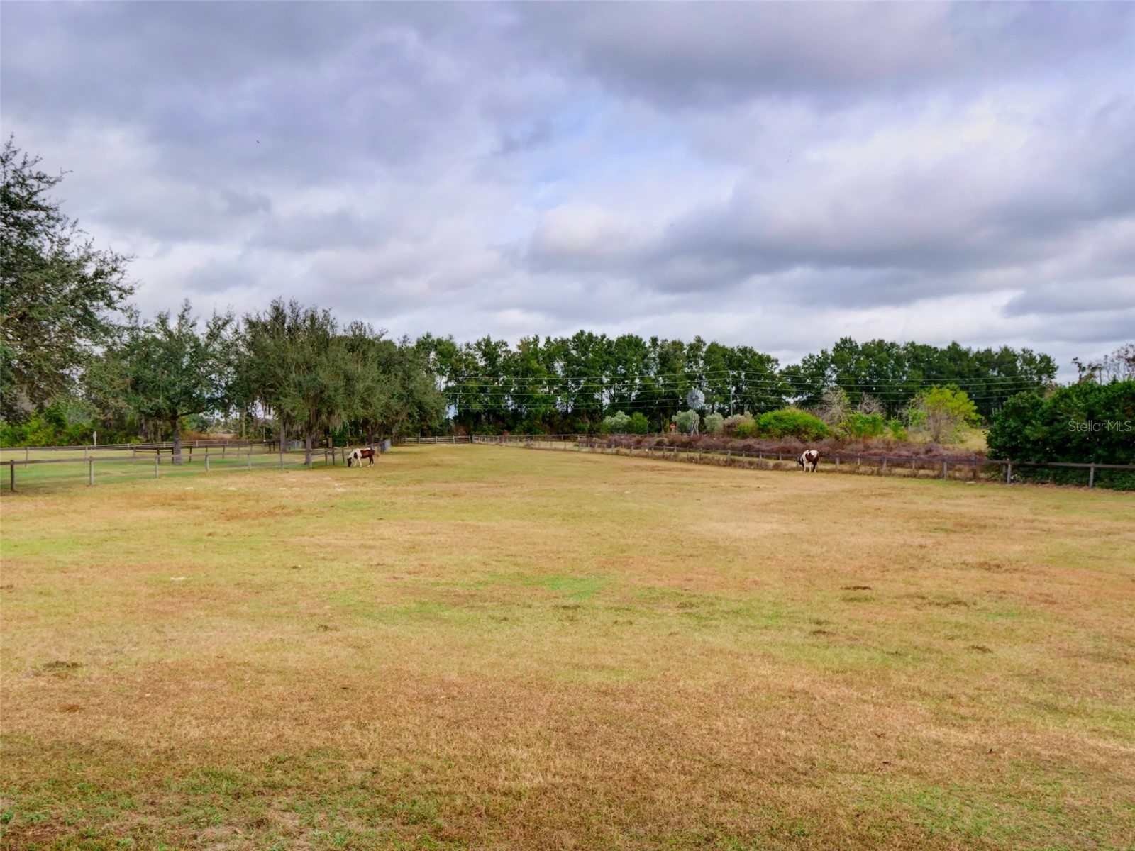 1765 E Cr 462 Wildwood FL 34785 G5105156 image36