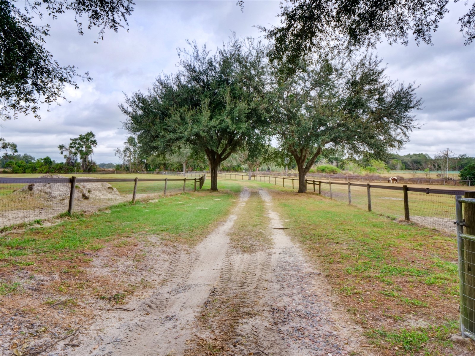 1765 E Cr 462 Wildwood FL 34785 G5105156 image42