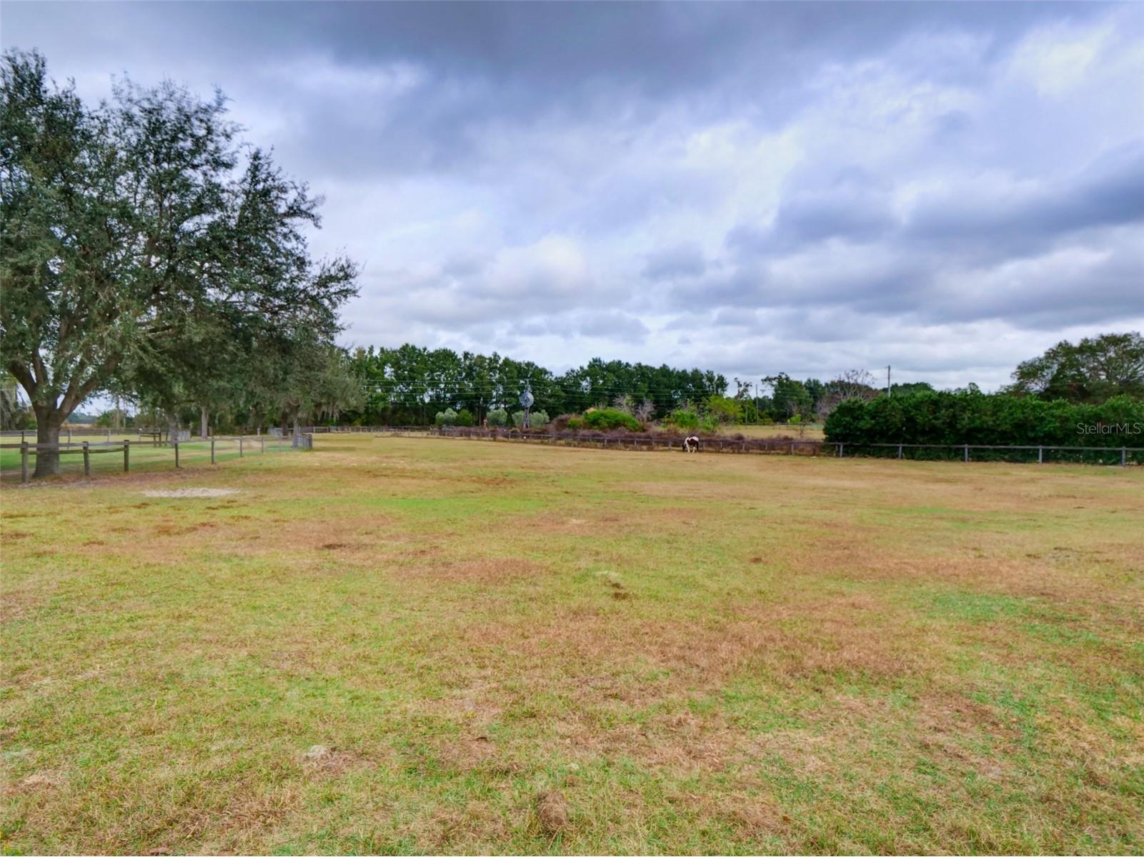 1765 E Cr 462 Wildwood FL 34785 G5105156 image46