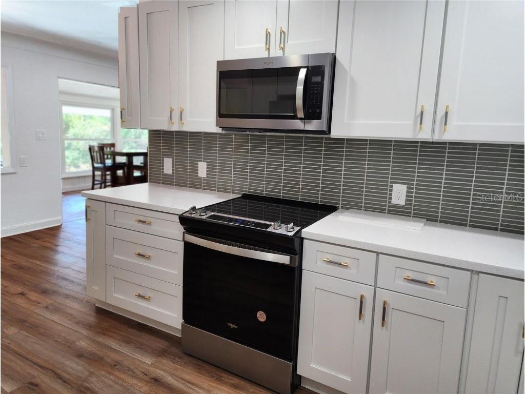 1765 Hilltop Drive Mount Dora FL 32757 G5105170 image3