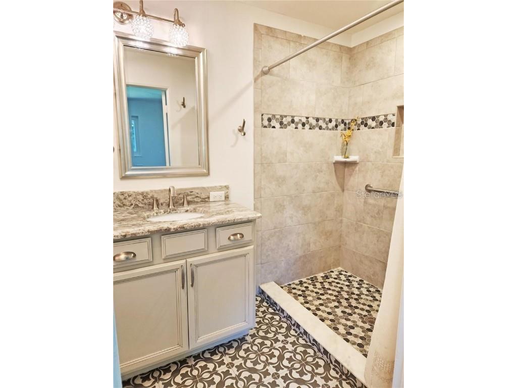 1765 Hilltop Drive Mount Dora FL 32757 G5105170 image9