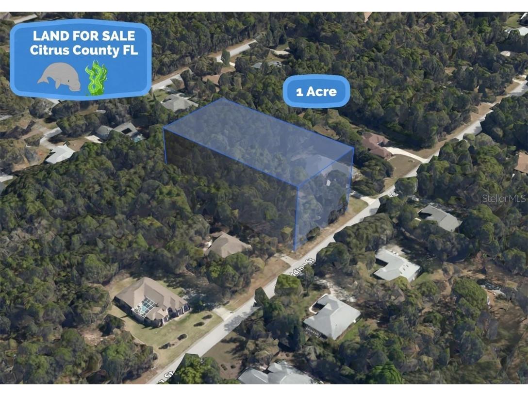 1765 W Redding Street Hernando FL 34442 O6123092 image1