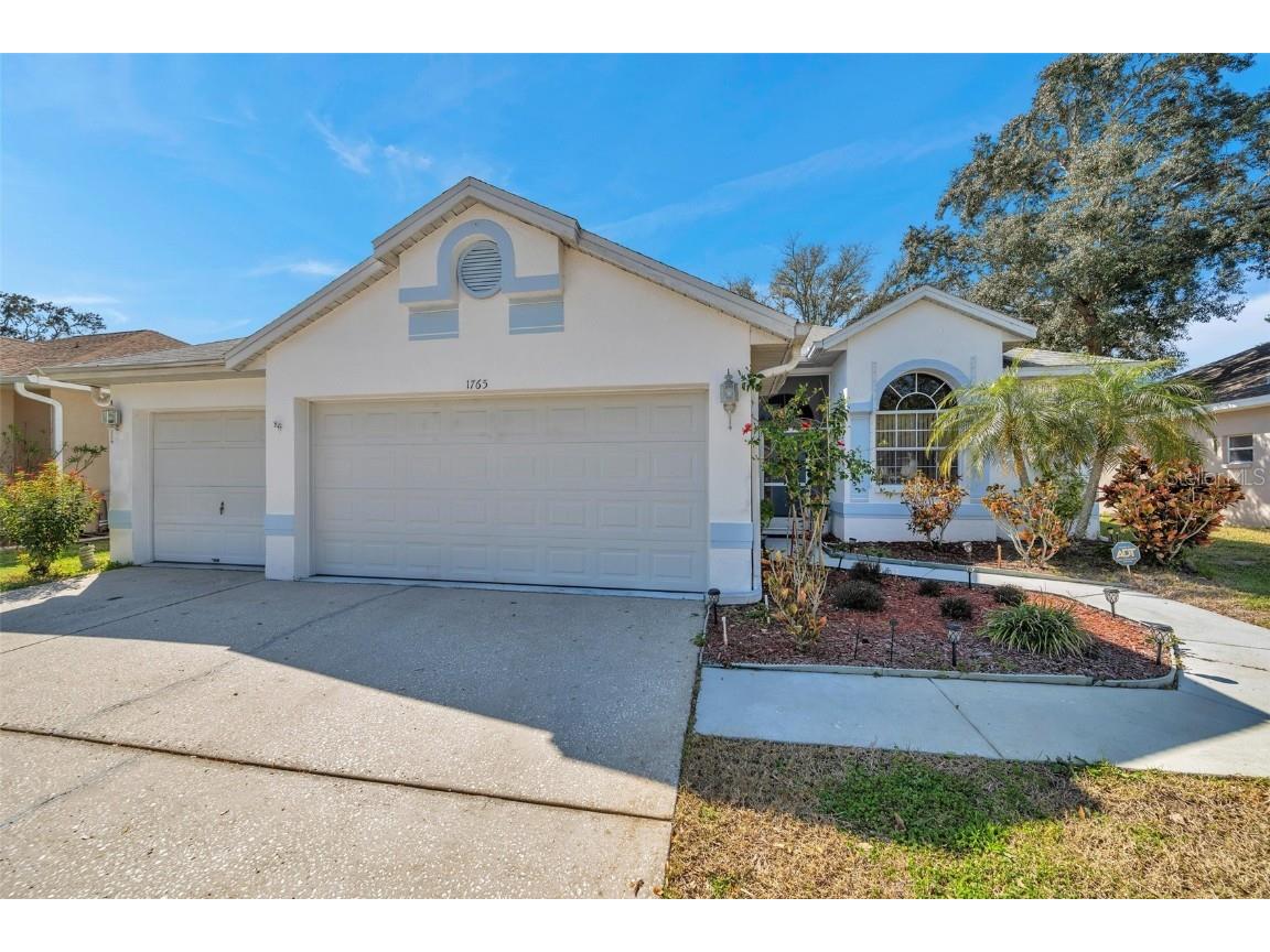 1765 Wood Haven Street Tarpon Springs FL 34689 T3507524 image1