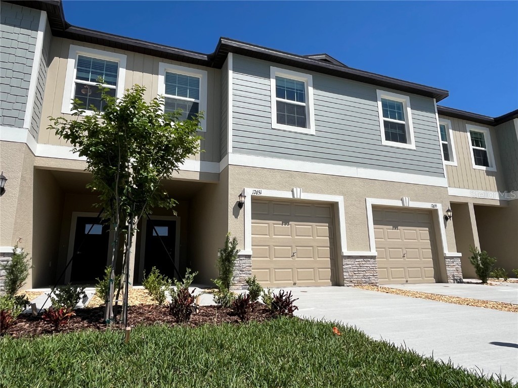 17651 Nectar Flume Drive Land O Lakes FL 34638 T3521408 image1