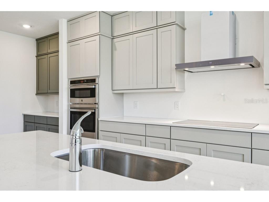 17652 Japonica Bloom Drive Winter Garden FL 34787 TB8438268 image13