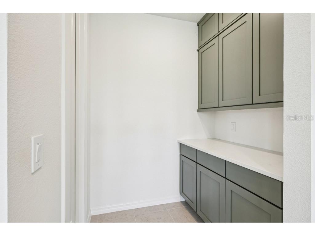 17652 Japonica Bloom Drive Winter Garden FL 34787 TB8438268 image14