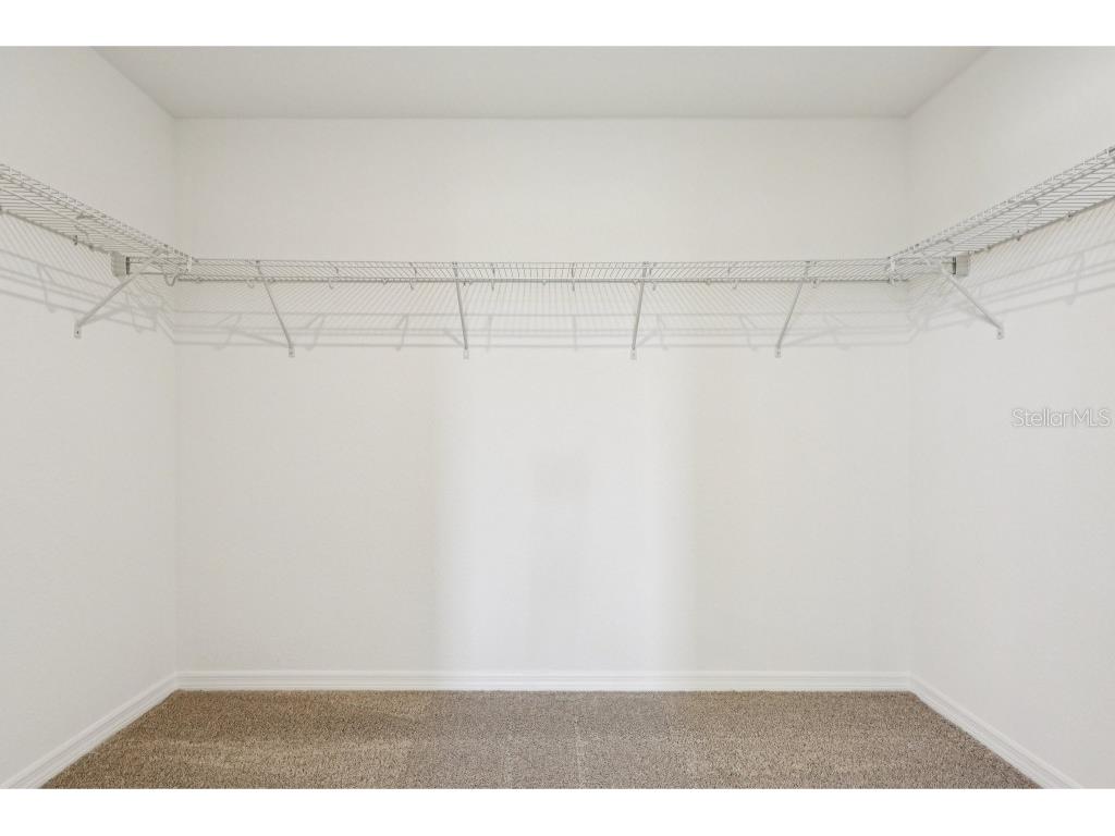 17652 Japonica Bloom Drive Winter Garden FL 34787 TB8438268 image31