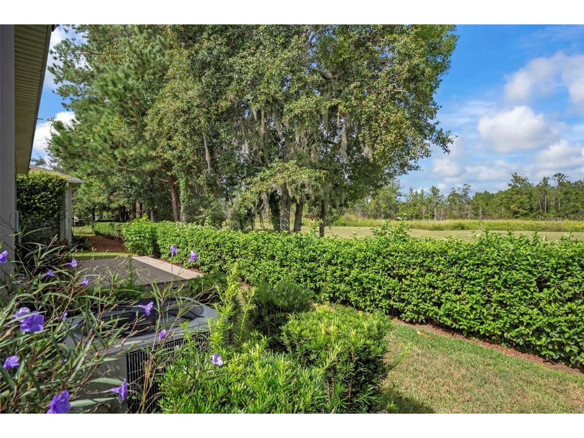 17653 Garsalaso Circle Brooksville FL 34604 W7879642 image40