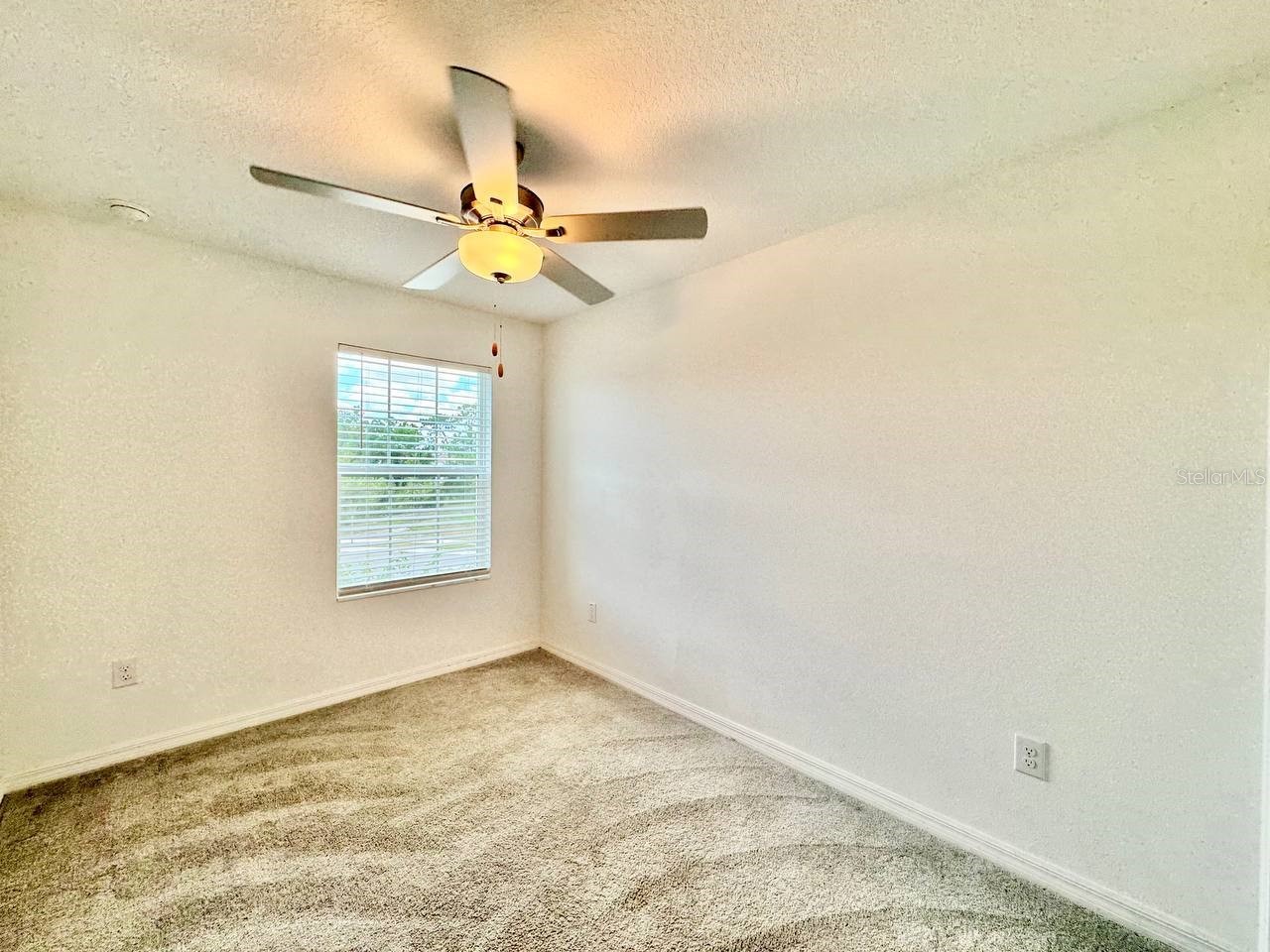 17657 Nectar Flume Drive Land O Lakes FL 34638 TB8522069 image19