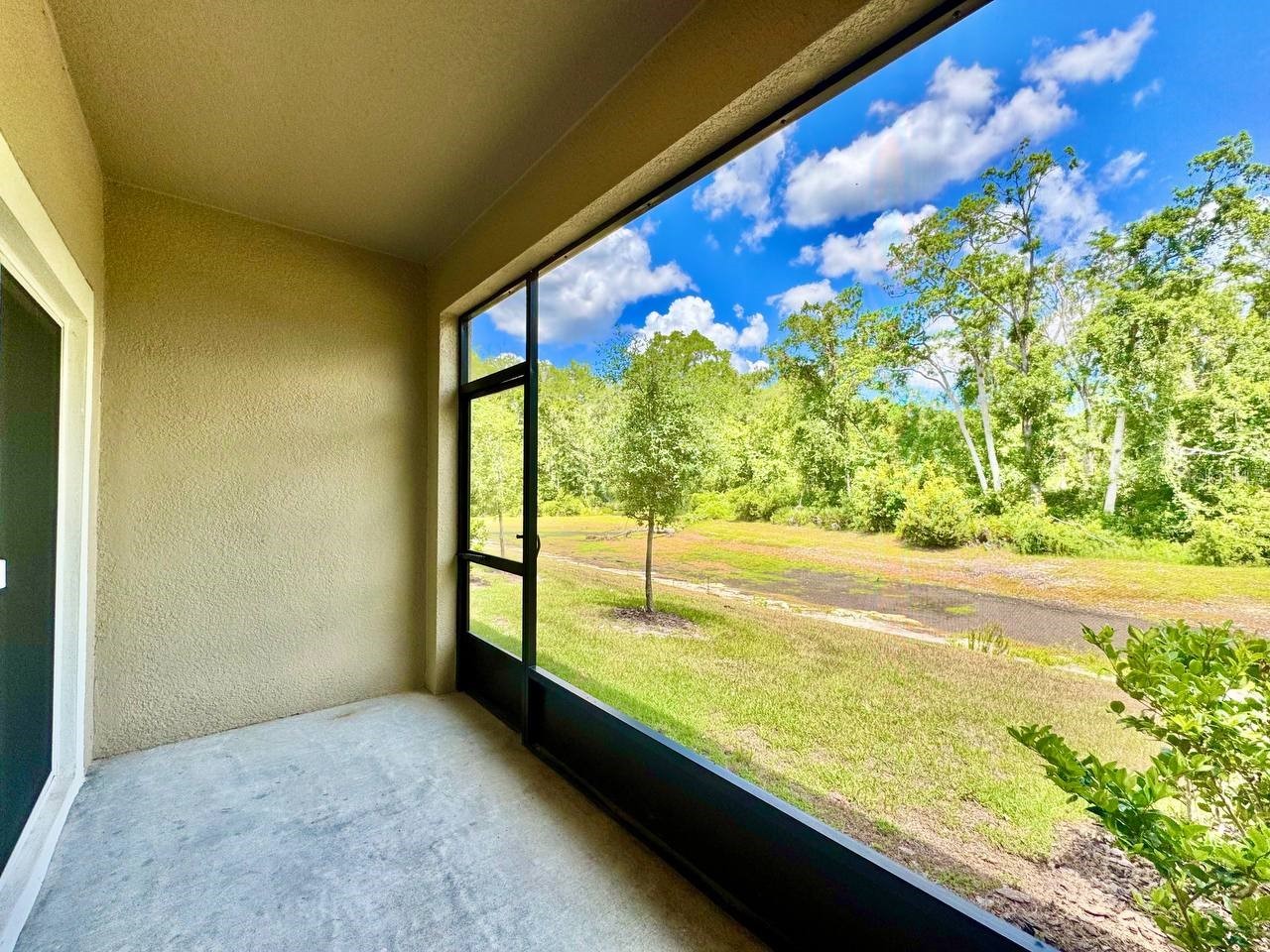 17657 Nectar Flume Drive Land O Lakes FL 34638 TB8522069 image30