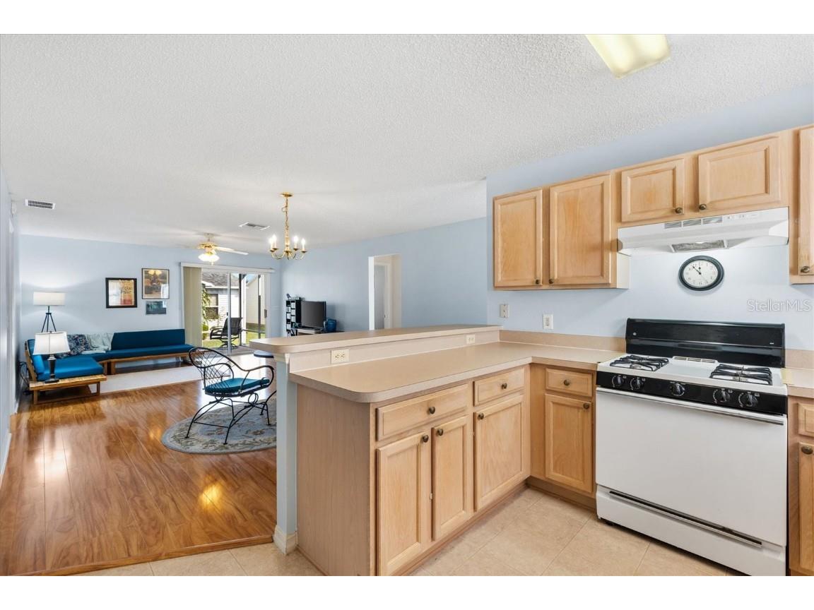 17659 SE 92nd Grantham Terrace The Villages FL 32162 G5105106 image11