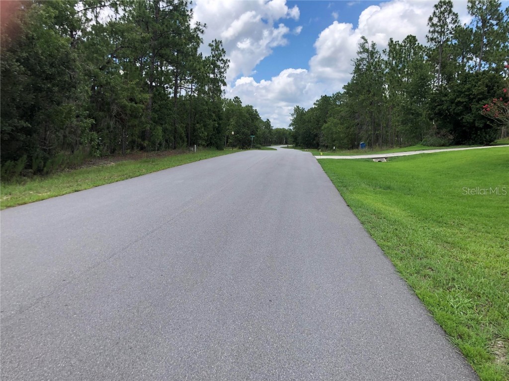 1766 County Rd 243b Wildwood FL 34785 S5107235 image5