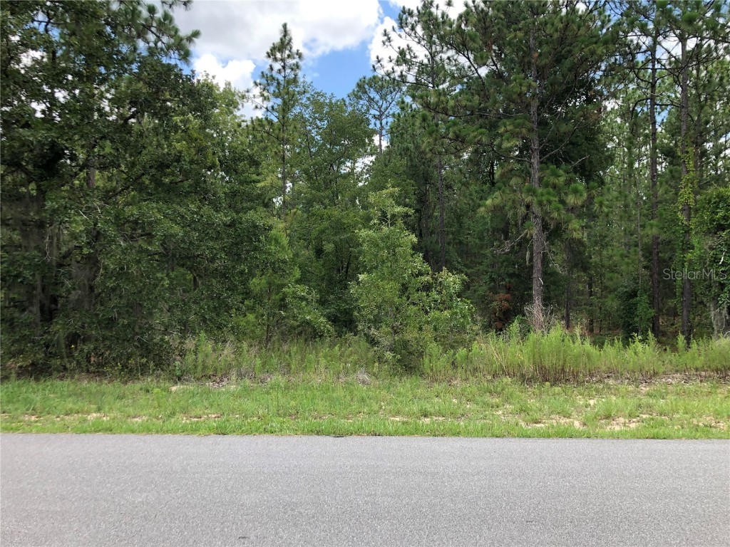 1766 County Rd 243b Wildwood FL 34785 S5107235 image7