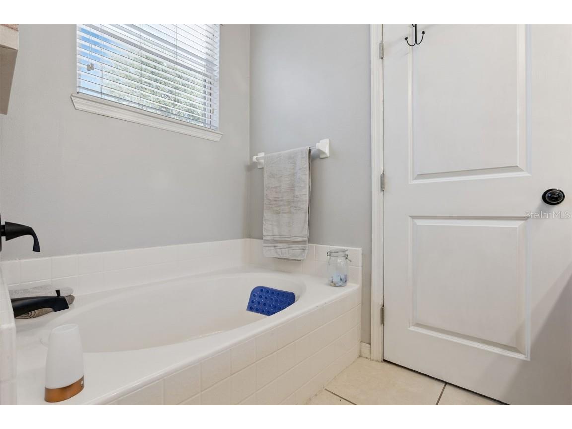 1766 Madison Ivy Circle Apopka FL 32712 G5106309 image18