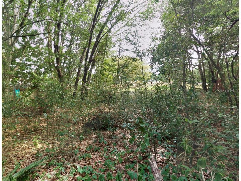 1766 Markham Glen Circle Longwood FL 32779 O6331237 image5