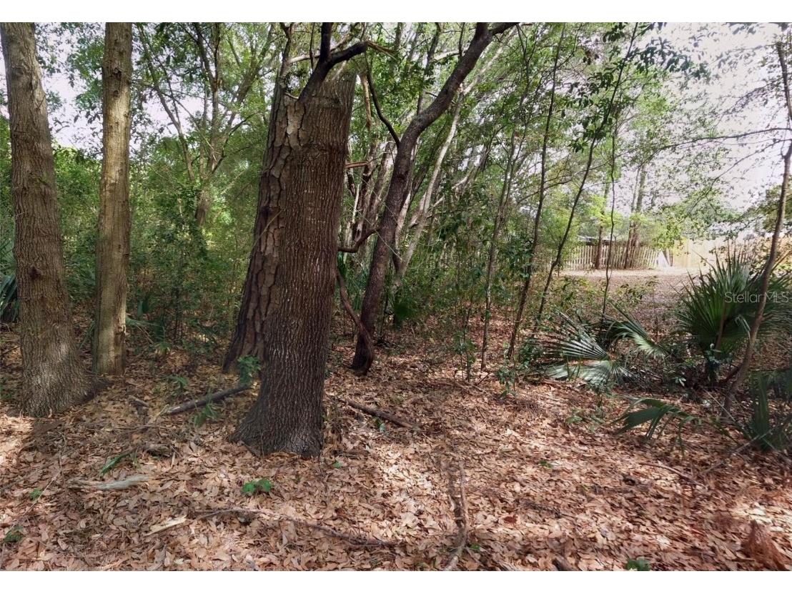 1766 Markham Glen Circle Longwood FL 32779 O6331237 image6