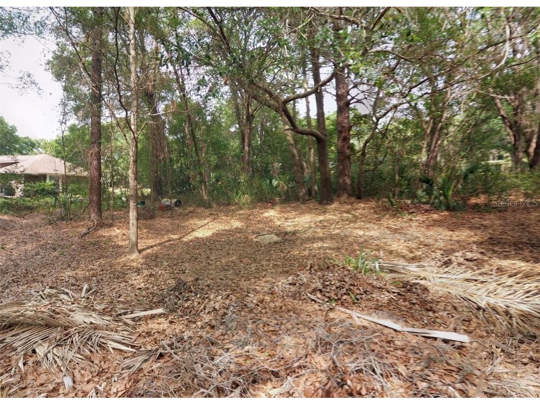 1766 Markham Glen Circle Longwood FL 32779 O6331237 image7