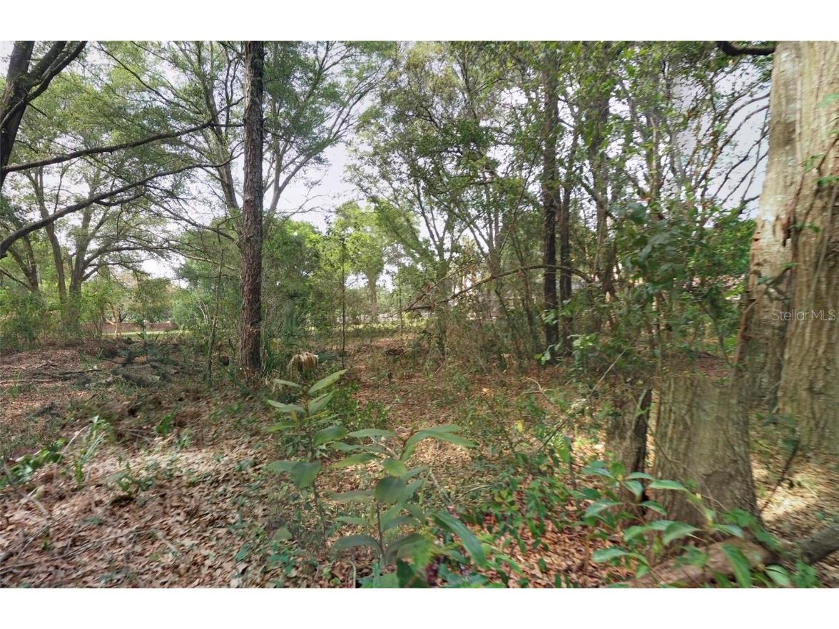 1766 Markham Glen Circle Longwood FL 32779 O6331237 image8