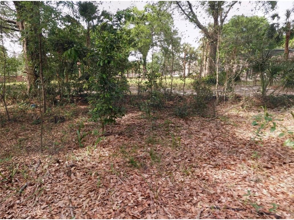 1766 Markham Glen Circle Longwood FL 32779 O6331237 image9