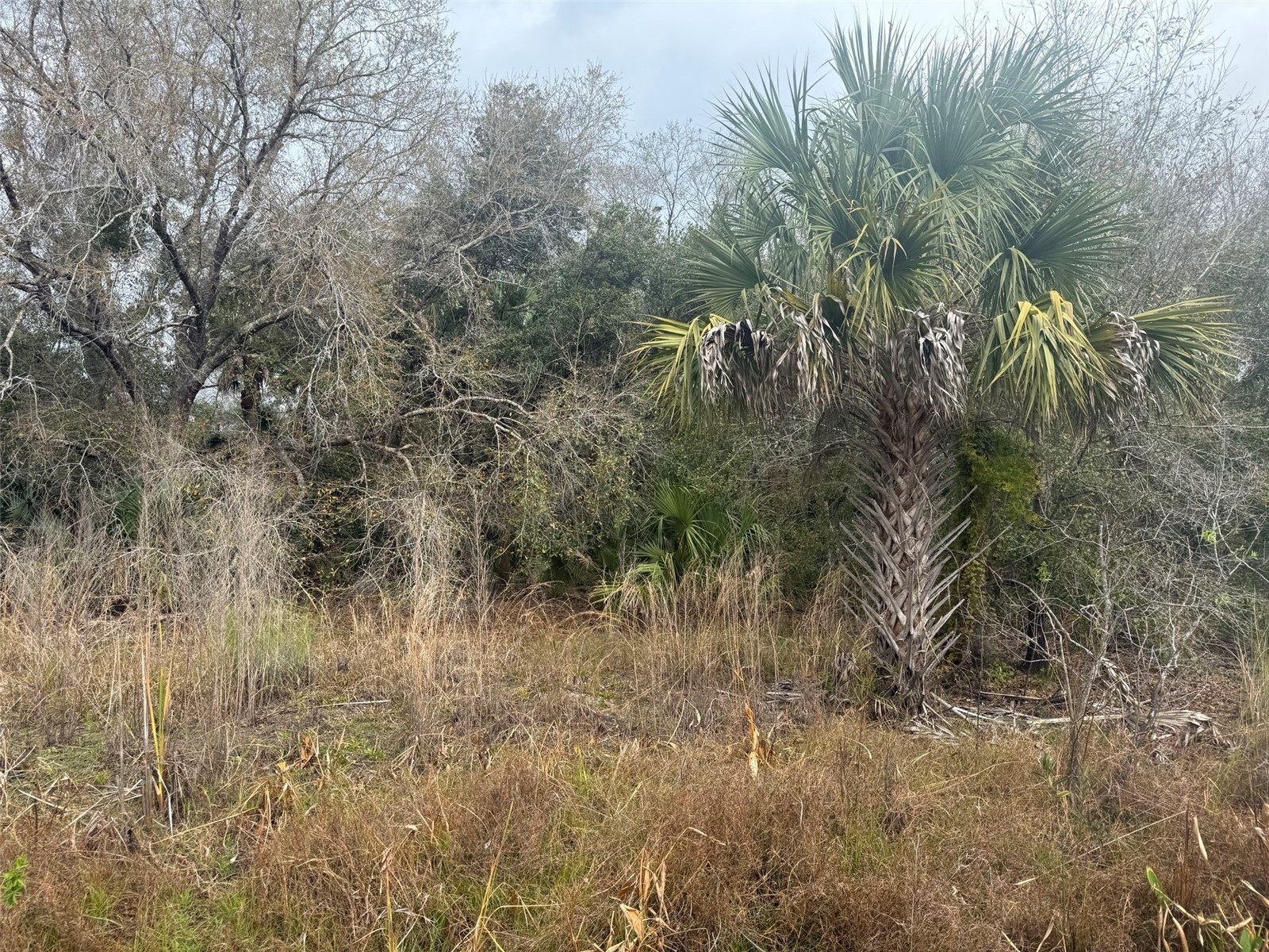 17667 NW 254th Street Okeechobee FL 34972 K4903555 image1