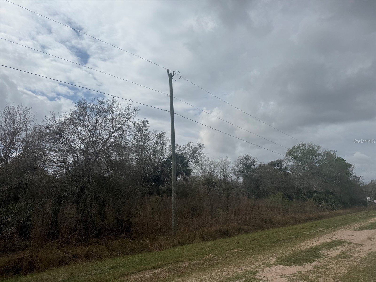 17667 NW 254th Street Okeechobee FL 34972 K4903555 image5