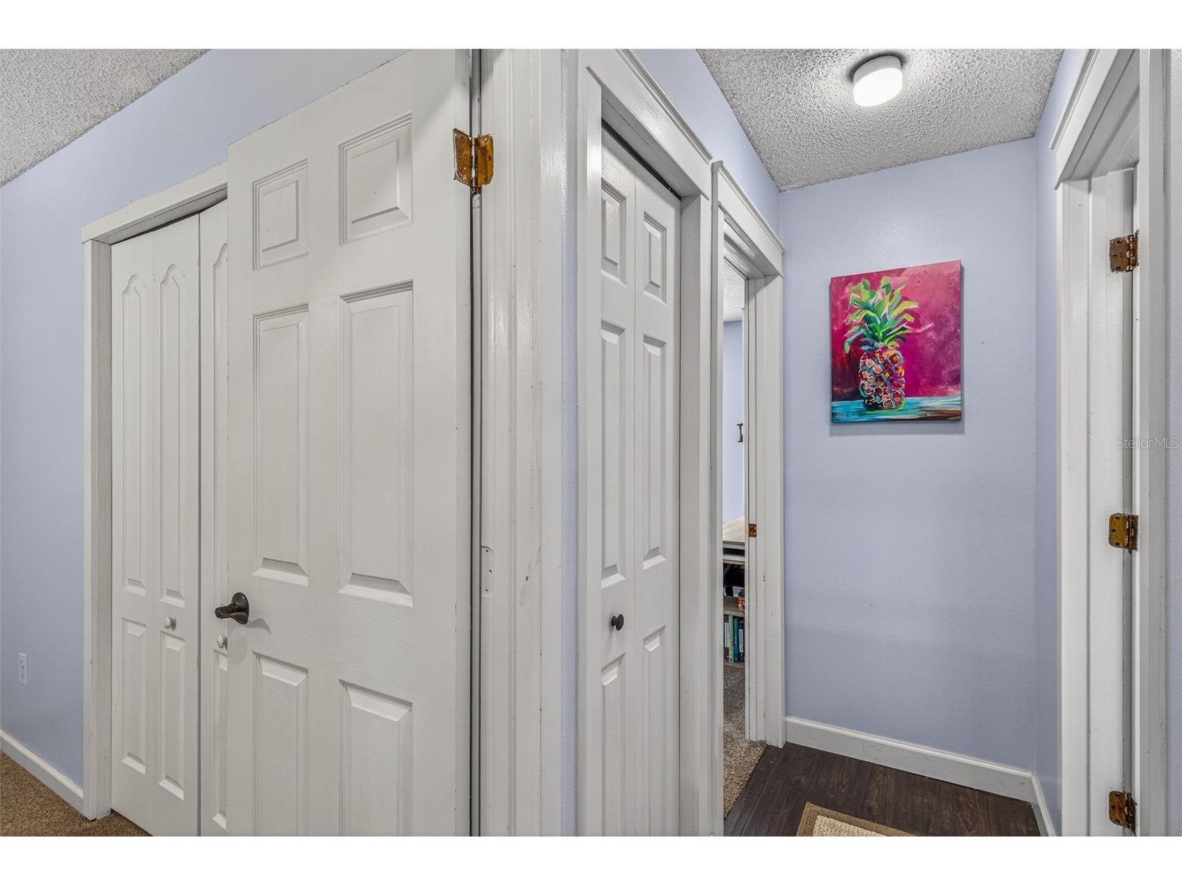 1767 Iroquois Drive Apopka FL 32703 O6404791 image28