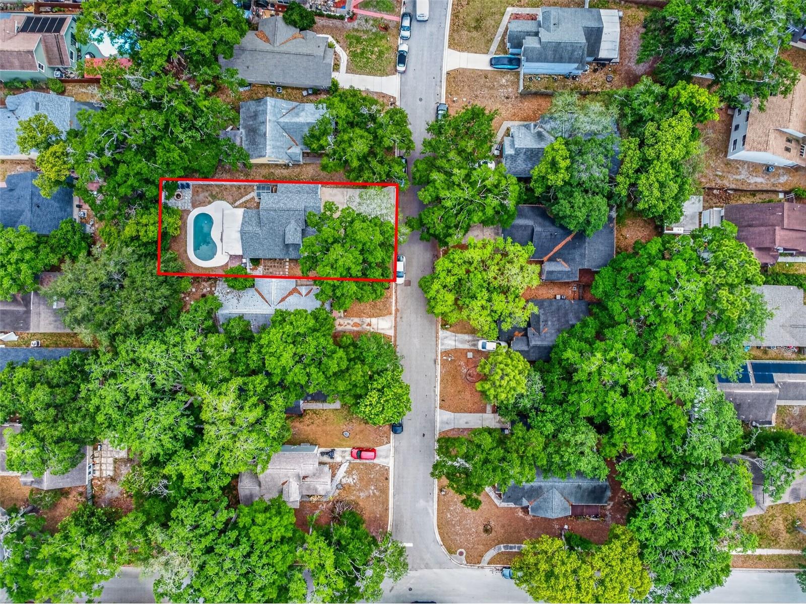 1767 Iroquois Drive Apopka FL 32703 O6404791 image40
