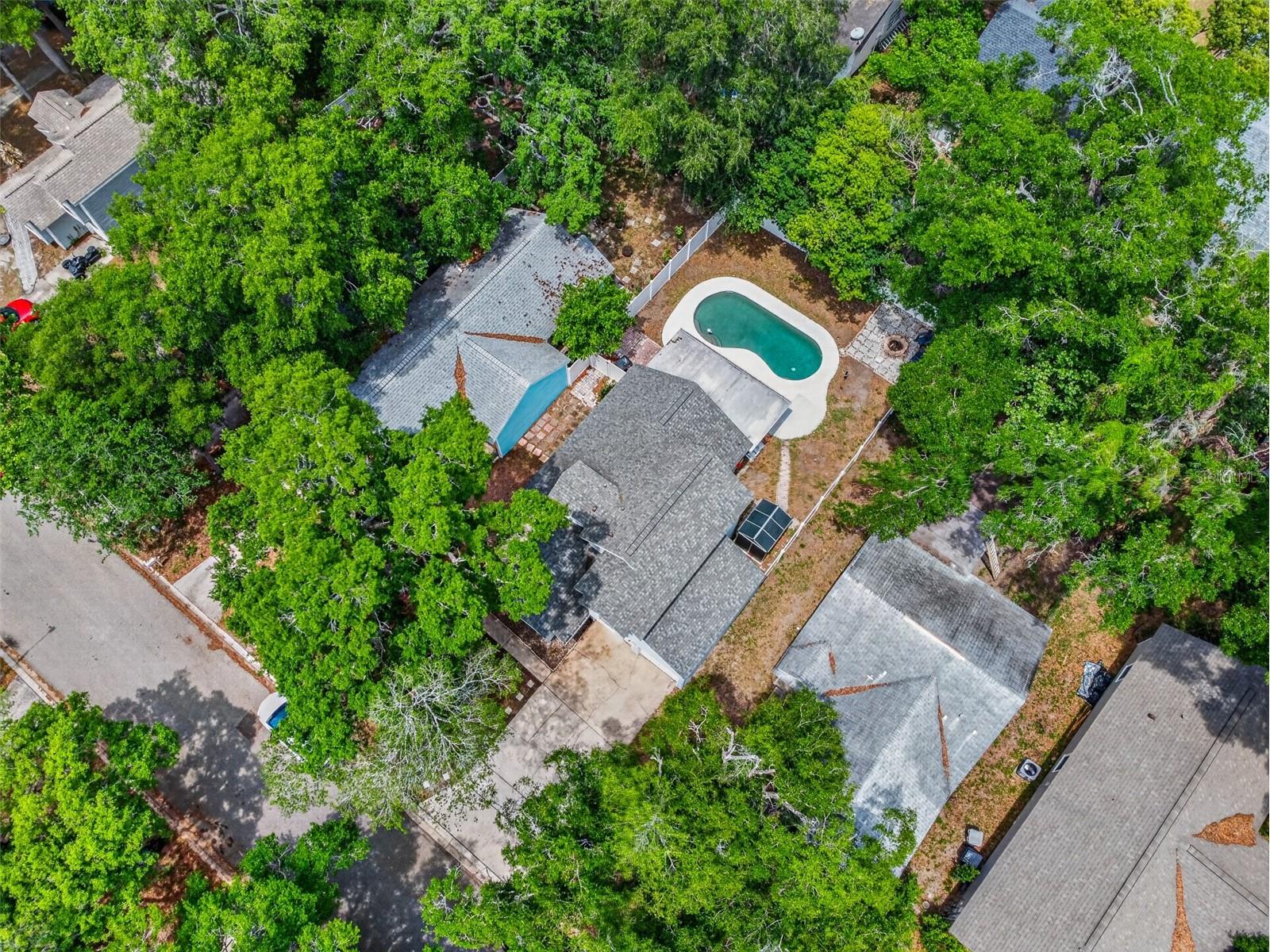 1767 Iroquois Drive Apopka FL 32703 O6404791 image41