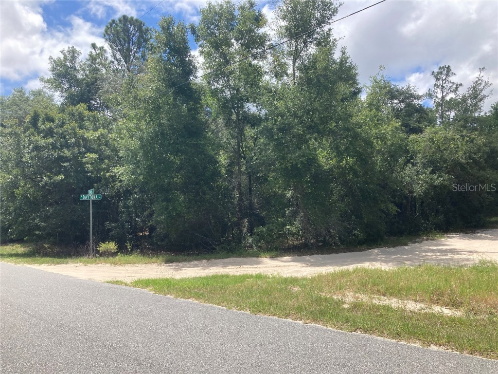 1767 N Daytona Point Hernando FL 34442 S5109153 image1