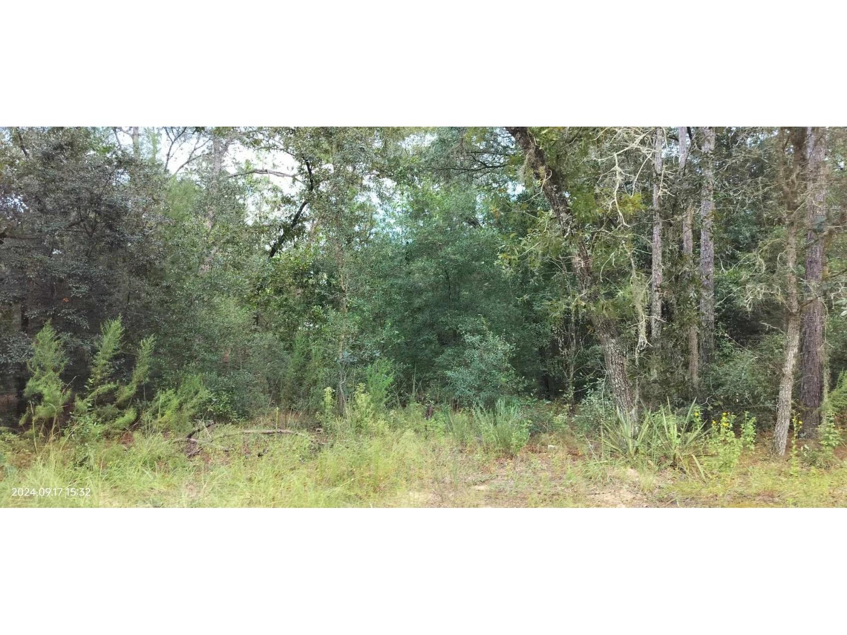 1767 N Daytona Point Hernando FL 34442 TB8307020 image1
