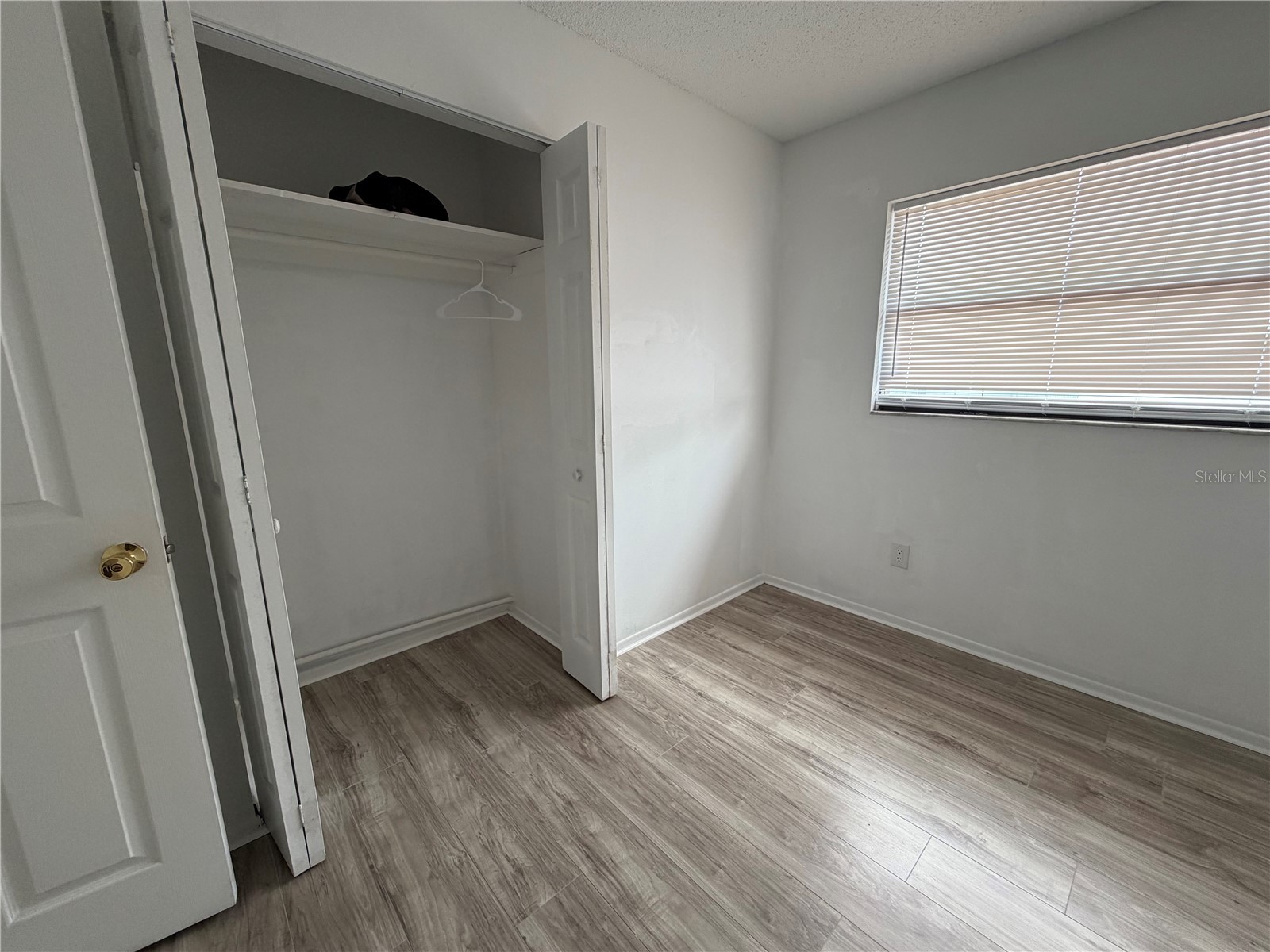 1767 Valencia Avenue Ormond Beach FL 32174 S5149144 image20